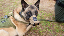 TACMED™ K9 Handler Trauma Kit (SOF®TQ)