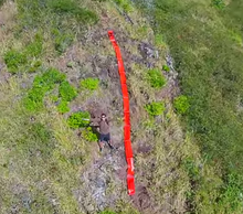 SEE/RESCUE® STREAMER